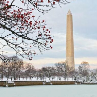 22nd November 2022 – Destination DC – Breaking news from the Capital: Washington DC ends 2022 with big announcements